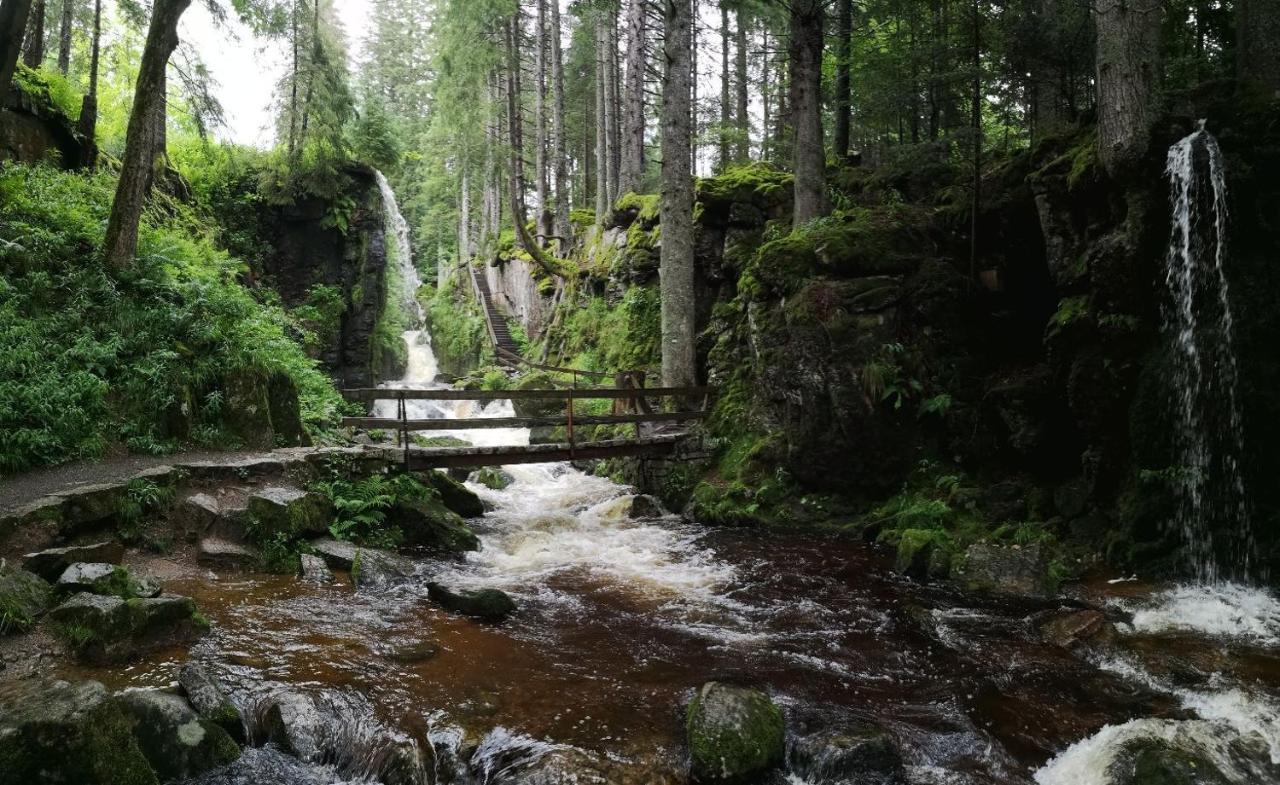 C4 Albmatte-Fewo Sauna, Hallenbad Aussenbecken Massagen Nebenan Menzenschwand-Hinterdorf Εξωτερικό φωτογραφία