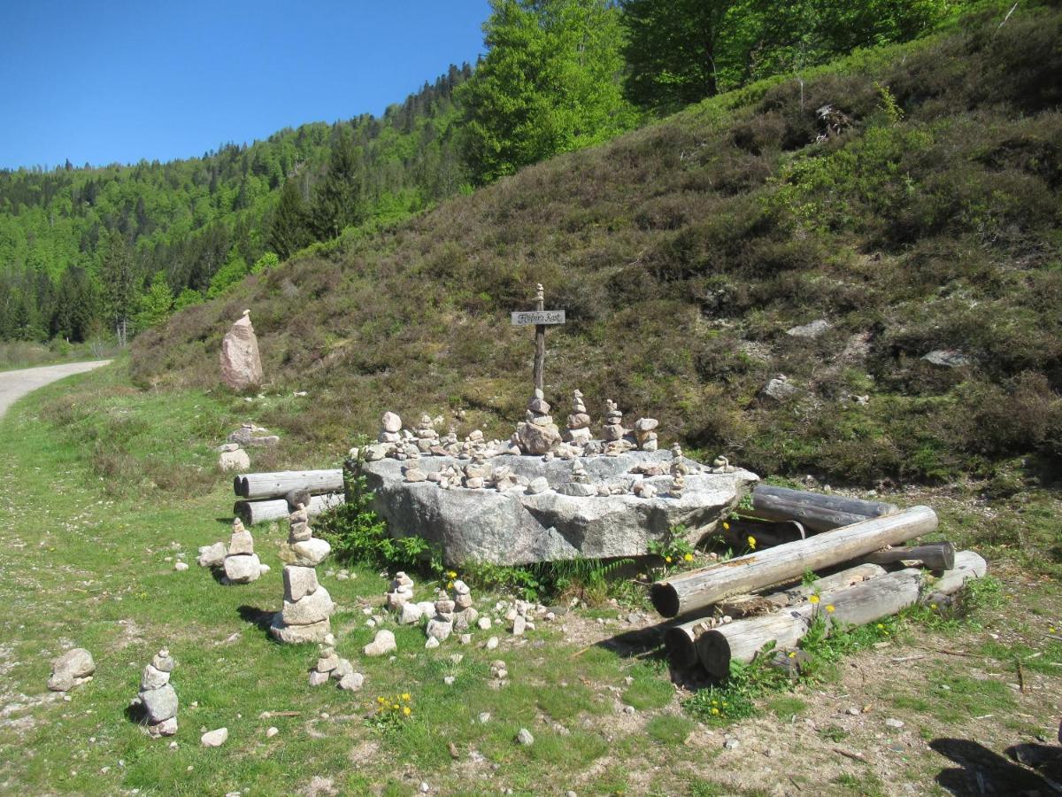 C4 Albmatte-Fewo Sauna, Hallenbad Aussenbecken Massagen Nebenan Menzenschwand-Hinterdorf Εξωτερικό φωτογραφία