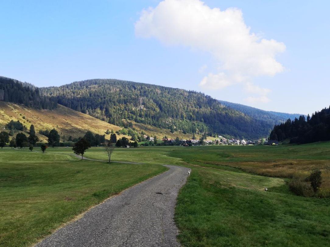 C4 Albmatte-Fewo Sauna, Hallenbad Aussenbecken Massagen Nebenan Menzenschwand-Hinterdorf Εξωτερικό φωτογραφία