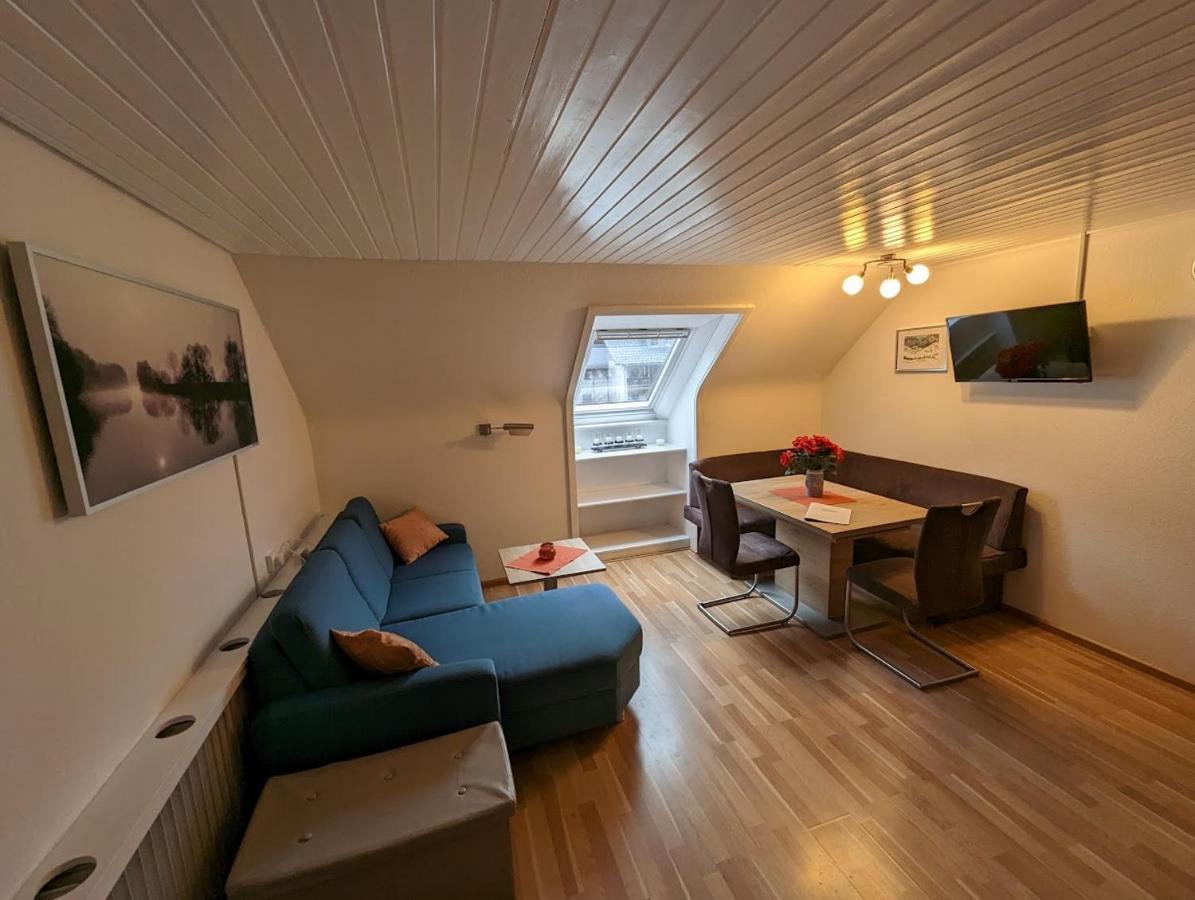 C4 Albmatte-Fewo Sauna, Hallenbad Aussenbecken Massagen Nebenan Menzenschwand-Hinterdorf Εξωτερικό φωτογραφία