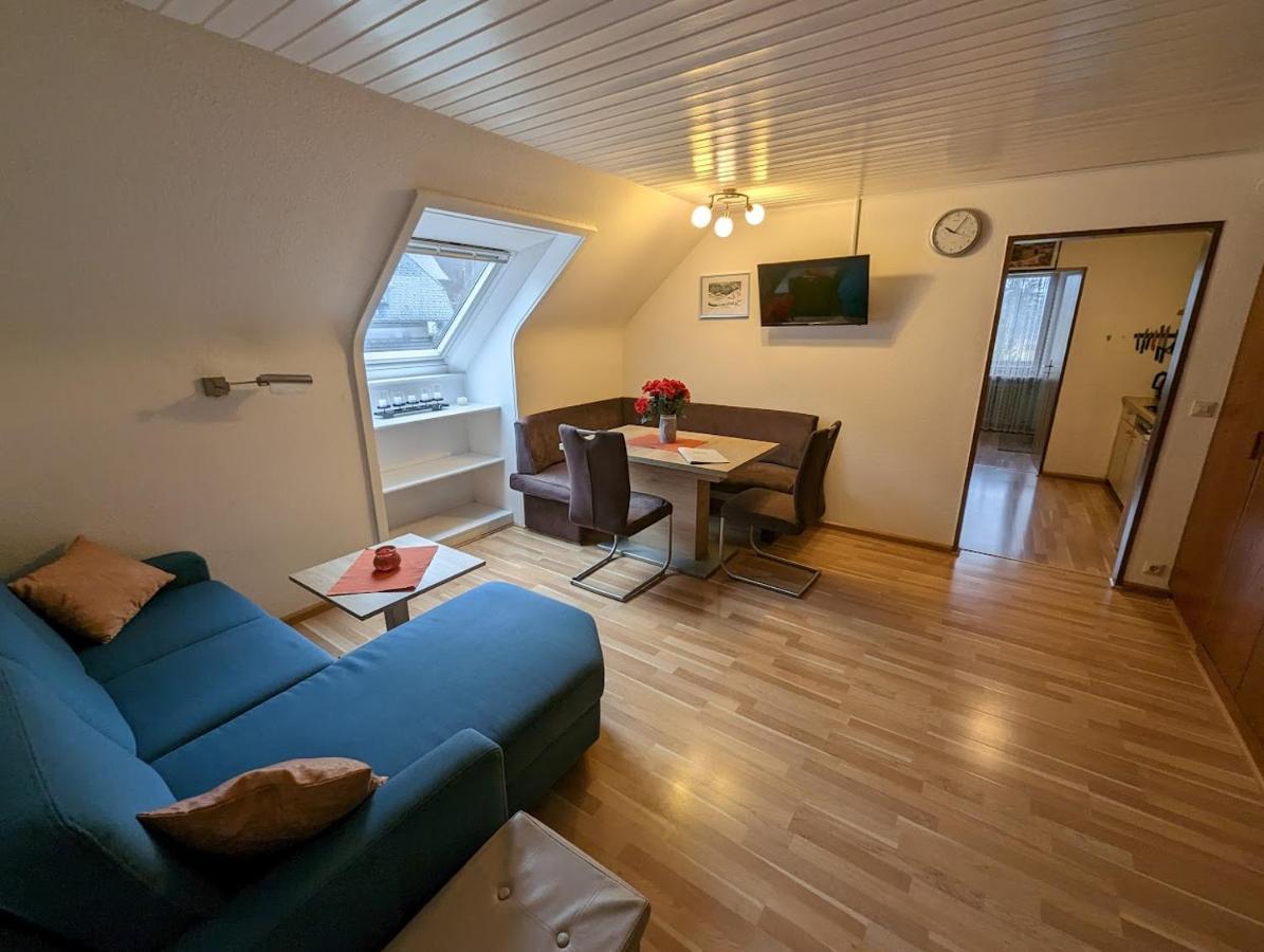 C4 Albmatte-Fewo Sauna, Hallenbad Aussenbecken Massagen Nebenan Menzenschwand-Hinterdorf Εξωτερικό φωτογραφία