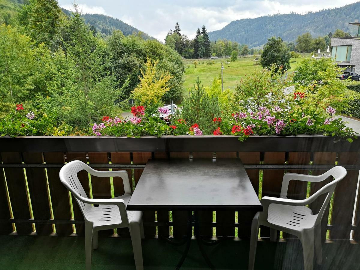 C4 Albmatte-Fewo Sauna, Hallenbad Aussenbecken Massagen Nebenan Menzenschwand-Hinterdorf Εξωτερικό φωτογραφία