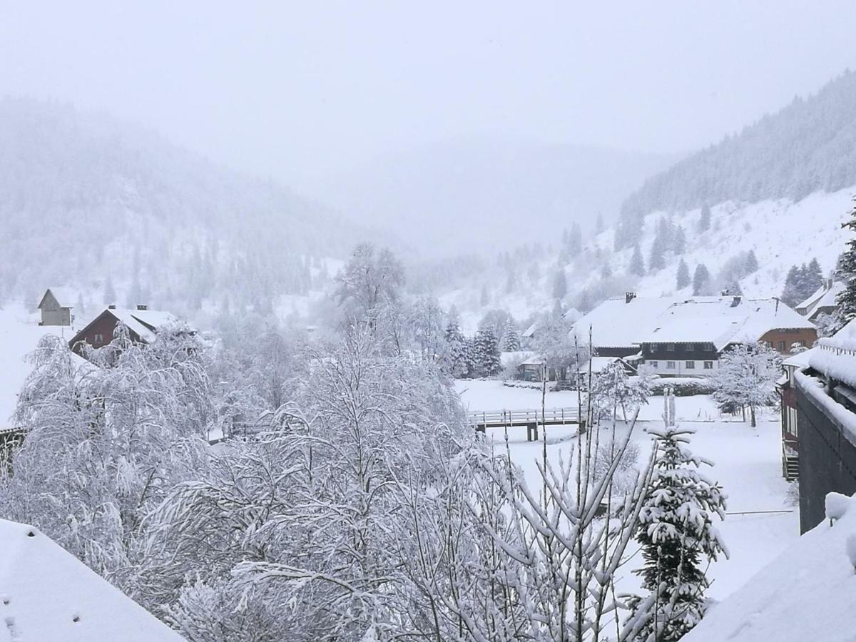 C4 Albmatte-Fewo Sauna, Hallenbad Aussenbecken Massagen Nebenan Menzenschwand-Hinterdorf Εξωτερικό φωτογραφία