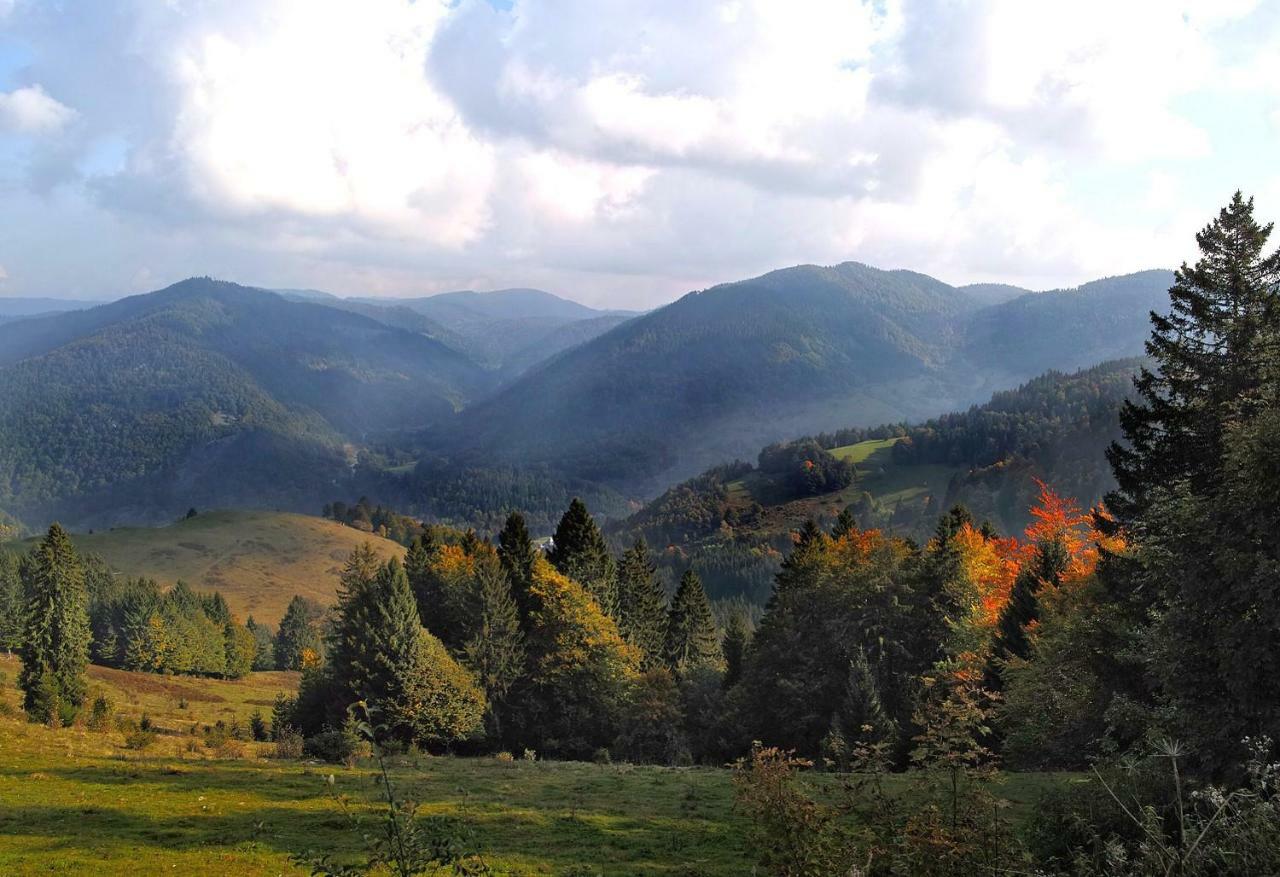C4 Albmatte-Fewo Sauna, Hallenbad Aussenbecken Massagen Nebenan Menzenschwand-Hinterdorf Εξωτερικό φωτογραφία