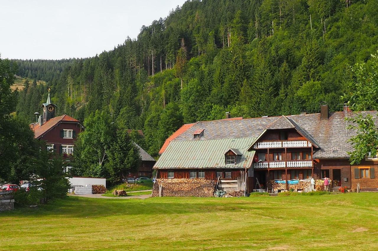 C4 Albmatte-Fewo Sauna, Hallenbad Aussenbecken Massagen Nebenan Menzenschwand-Hinterdorf Εξωτερικό φωτογραφία