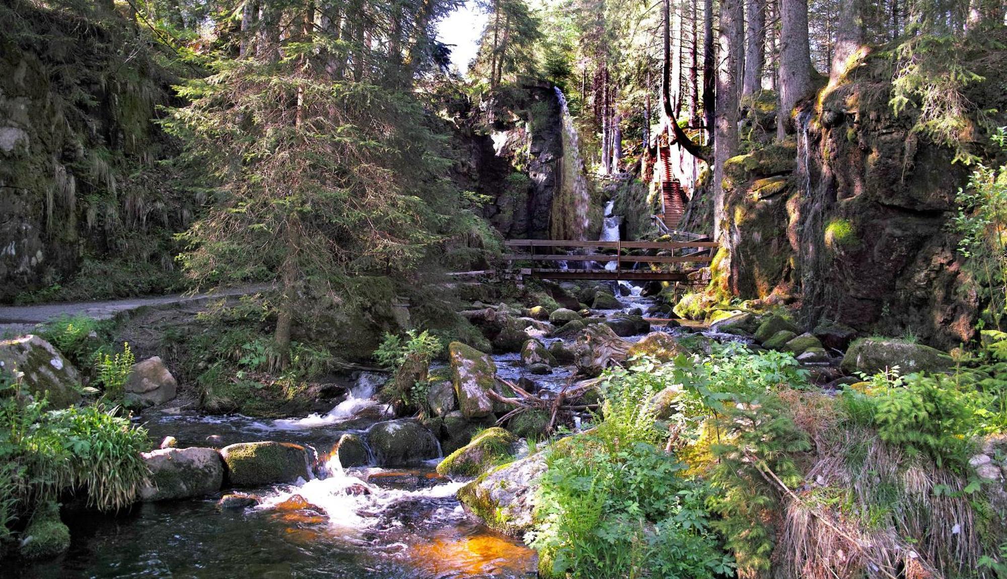 C4 Albmatte-Fewo Sauna, Hallenbad Aussenbecken Massagen Nebenan Menzenschwand-Hinterdorf Εξωτερικό φωτογραφία