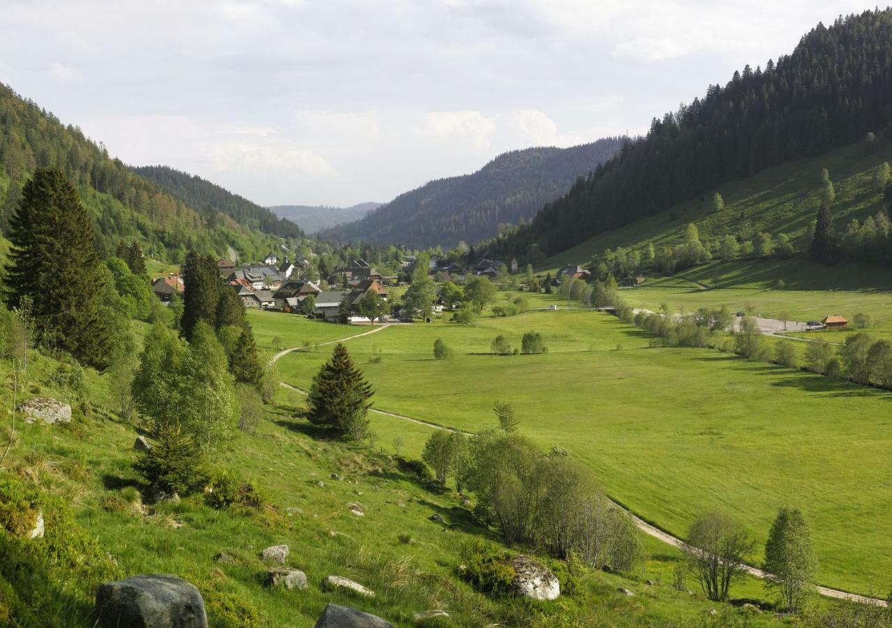 C4 Albmatte-Fewo Sauna, Hallenbad Aussenbecken Massagen Nebenan Menzenschwand-Hinterdorf Εξωτερικό φωτογραφία