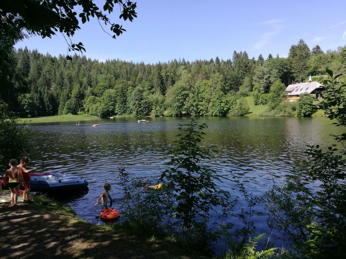 C4 Albmatte-Fewo Sauna, Hallenbad Aussenbecken Massagen Nebenan Menzenschwand-Hinterdorf Εξωτερικό φωτογραφία