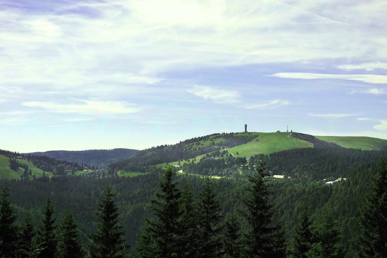C4 Albmatte-Fewo Sauna, Hallenbad Aussenbecken Massagen Nebenan Menzenschwand-Hinterdorf Εξωτερικό φωτογραφία