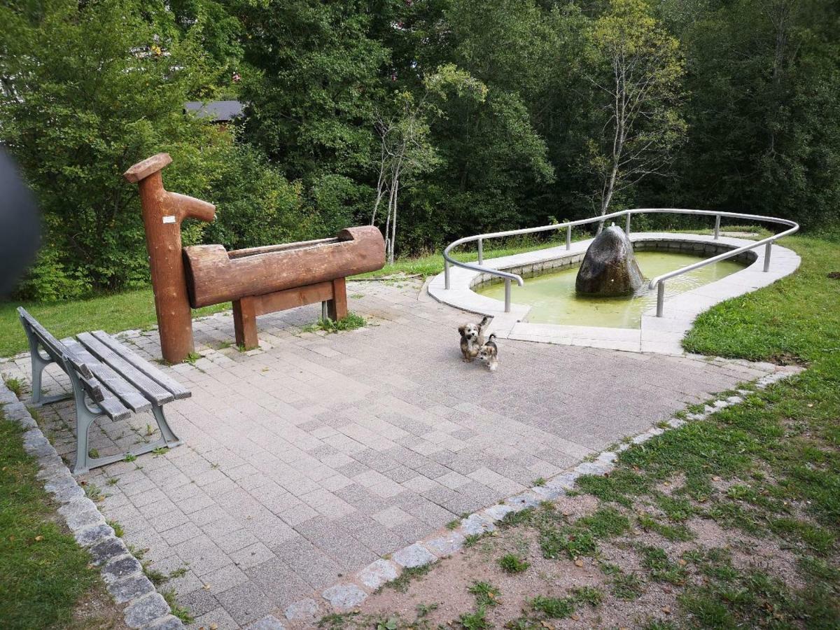 C4 Albmatte-Fewo Sauna, Hallenbad Aussenbecken Massagen Nebenan Menzenschwand-Hinterdorf Εξωτερικό φωτογραφία