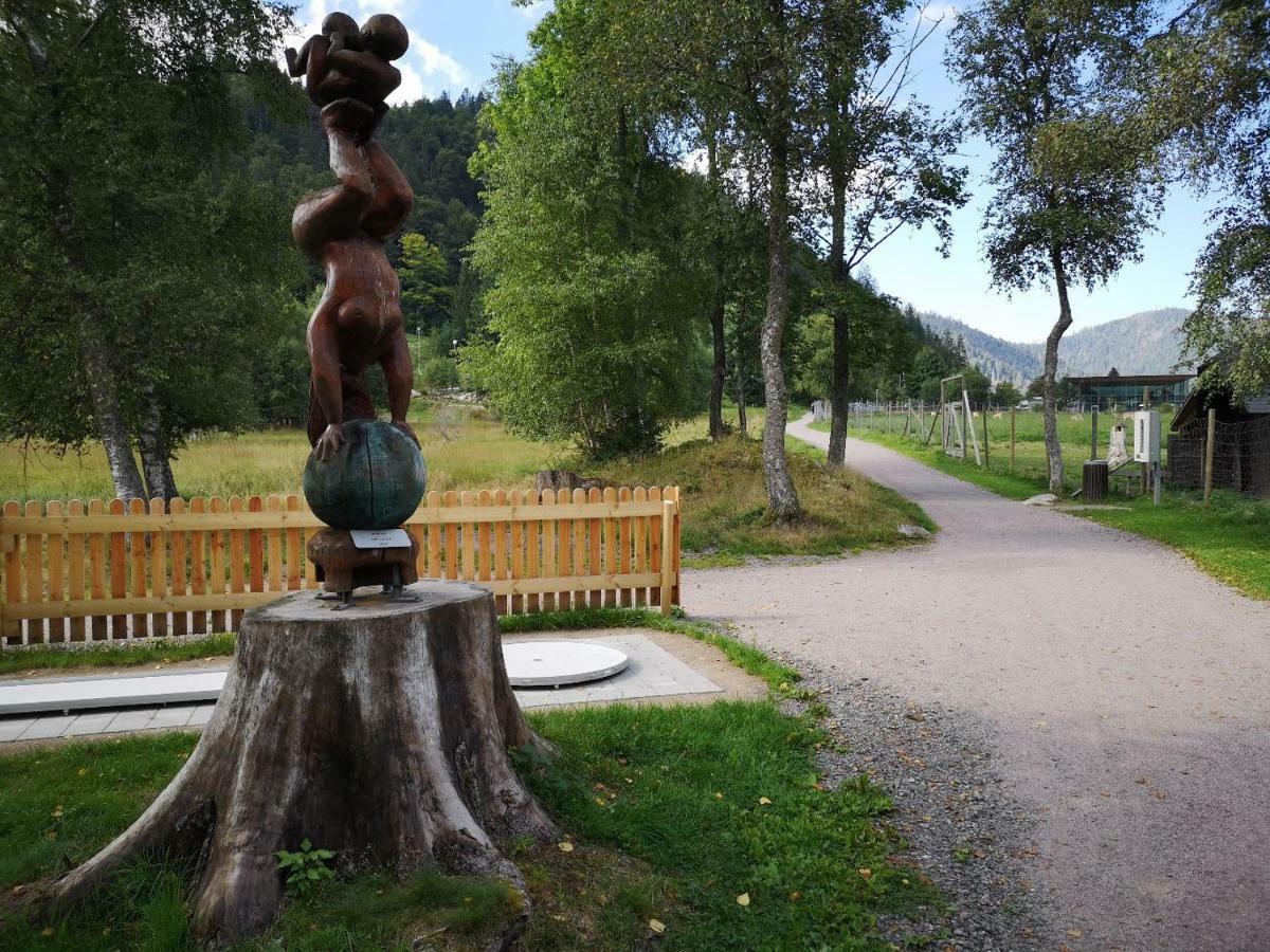 C4 Albmatte-Fewo Sauna, Hallenbad Aussenbecken Massagen Nebenan Menzenschwand-Hinterdorf Εξωτερικό φωτογραφία